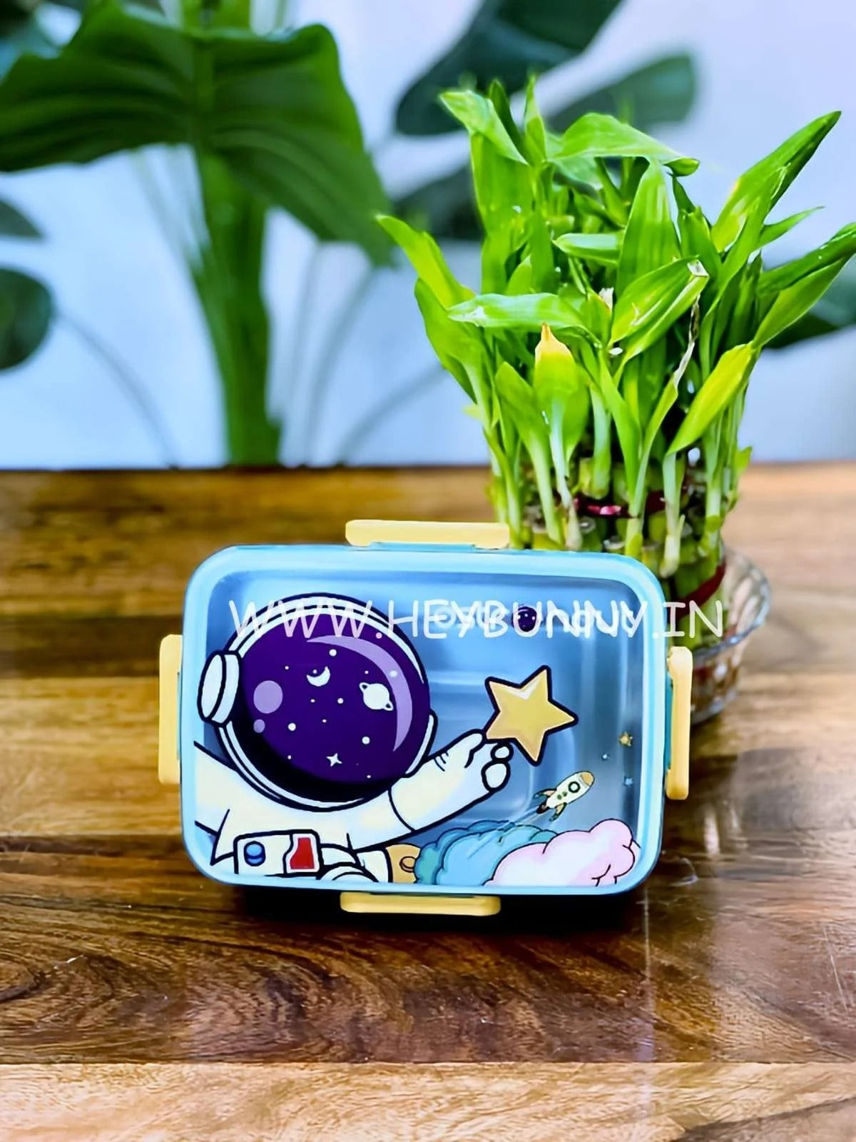 Kids Cartoon Lunch Boxes