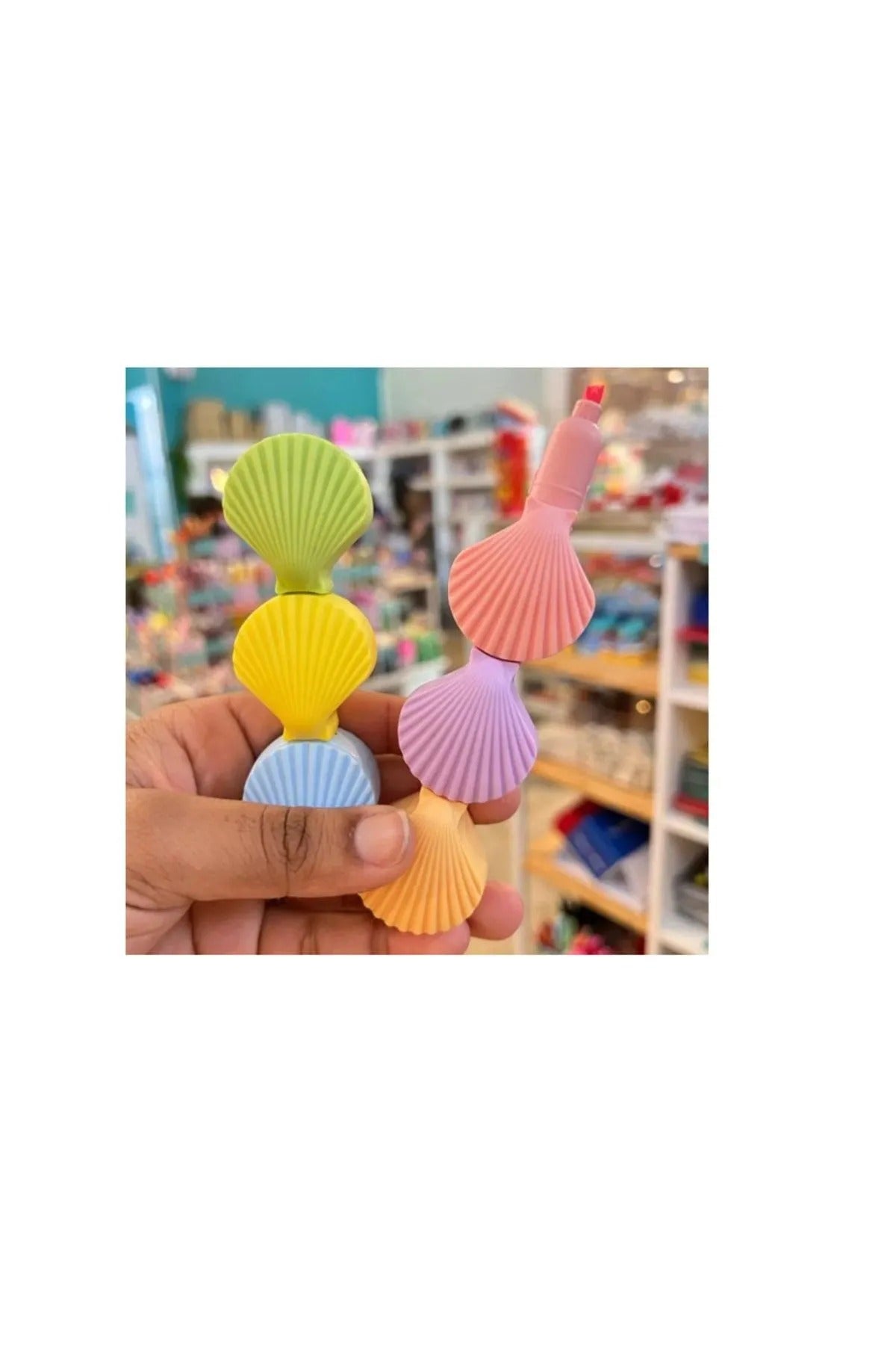 Shell Pop Highlighters