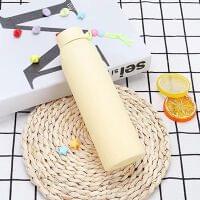 Colourful Glass Bottle With Plastic Outer 350ML