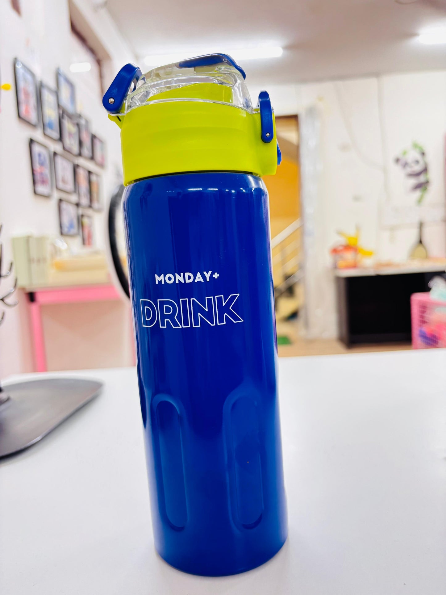 Stainless Steel Vacuum Bottle
