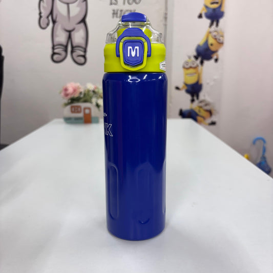 Stainless Steel Vacuum Bottle