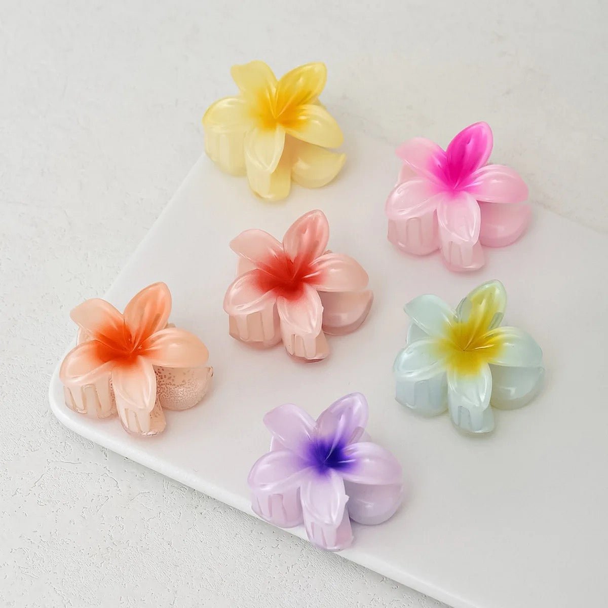 Hawaii mini hair claws