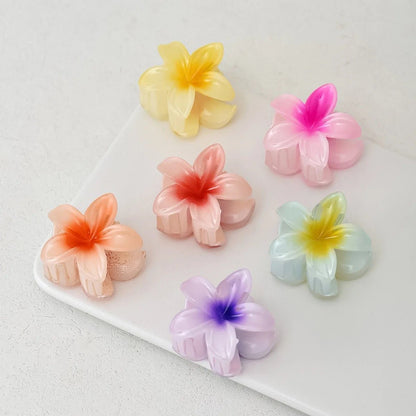Hawaii mini hair claws