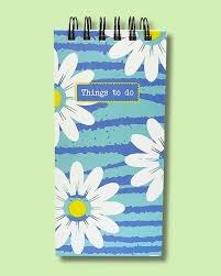 Daisy Dreams Cute Pocket Diary 🌼📔📔